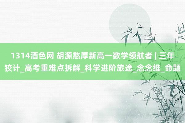1314酒色网 胡源憨厚新高一数学领航者 | 三年狡计_高考重难点拆解_科学进阶旅途_念念维_命题