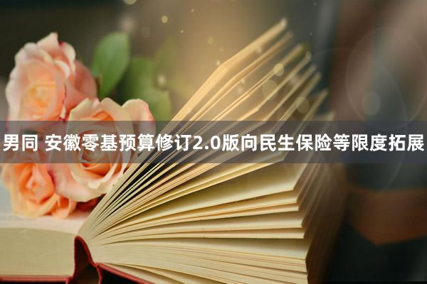 男同 安徽零基预算修订2.0版向民生保险等限度拓展