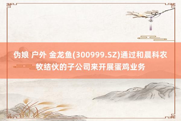 伪娘 户外 金龙鱼(300999.SZ)通过和晨科农牧结伙的子公司来开展蛋鸡业务