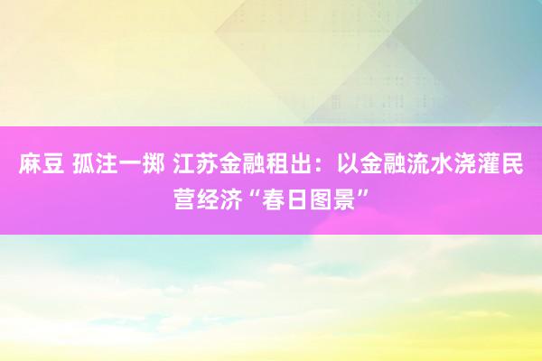 麻豆 孤注一掷 江苏金融租出：以金融流水浇灌民营经济“春日图景”