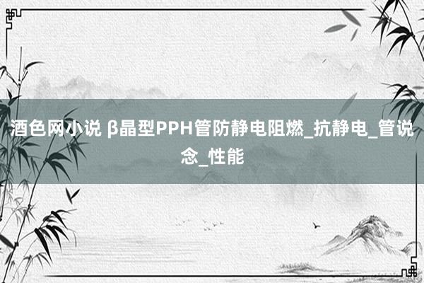 酒色网小说 β晶型PPH管防静电阻燃_抗静电_管说念_性能