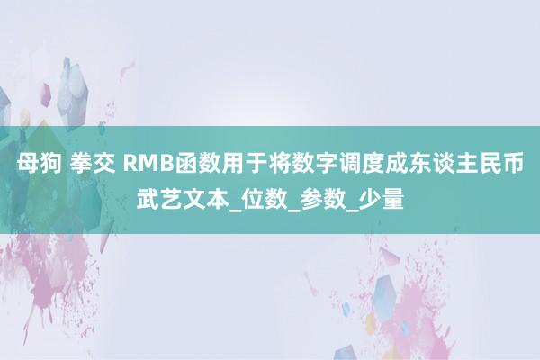 母狗 拳交 RMB函数用于将数字调度成东谈主民币武艺文本_位数_参数_少量
