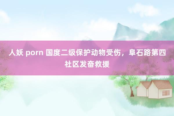 人妖 porn 国度二级保护动物受伤，阜石路第四社区发奋救援