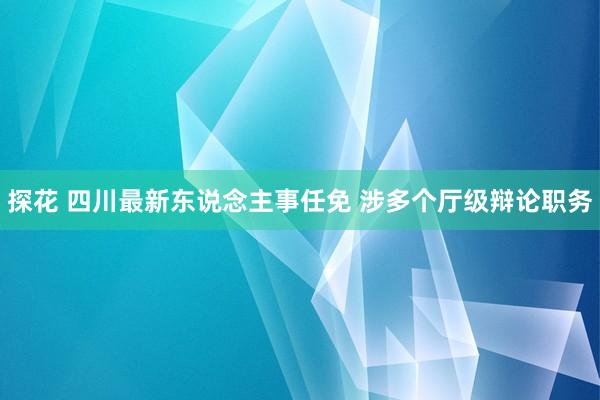 探花 四川最新东说念主事任免 涉多个厅级辩论职务