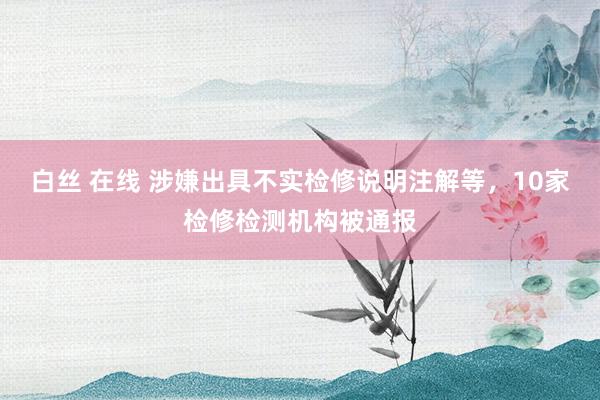 白丝 在线 涉嫌出具不实检修说明注解等，10家检修检测机构被通报