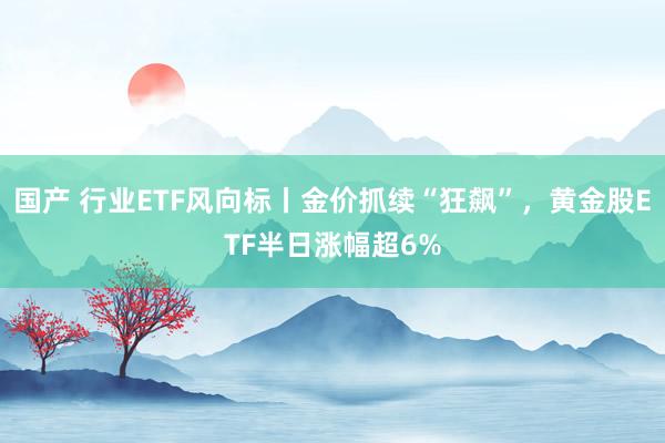 国产 行业ETF风向标丨金价抓续“狂飙”，黄金股ETF半日涨幅超6%