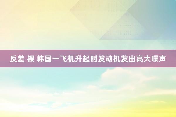 反差 裸 韩国一飞机升起时发动机发出高大噪声