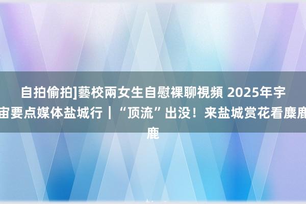 自拍偷拍]藝校兩女生自慰裸聊視頻 2025年宇宙要点媒体盐城行｜“顶流”出没！来盐城赏花看麋鹿